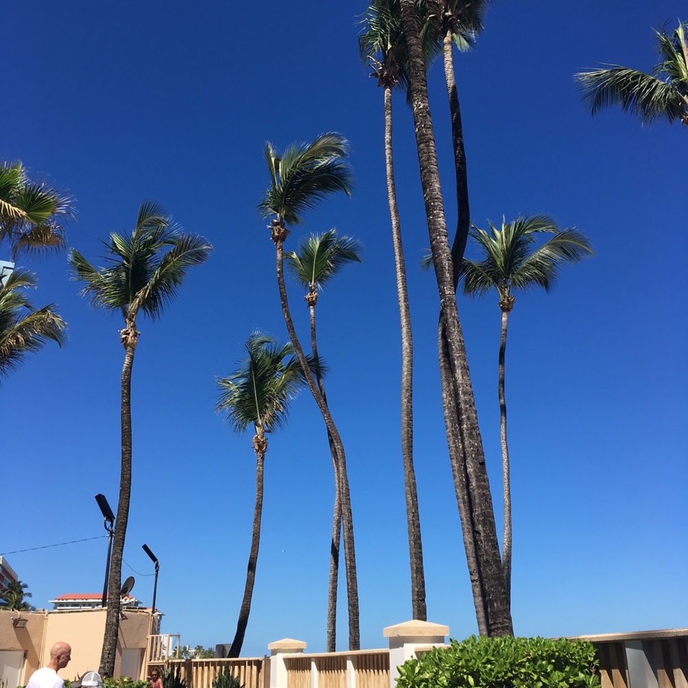 Meet your Posher, Carolyn